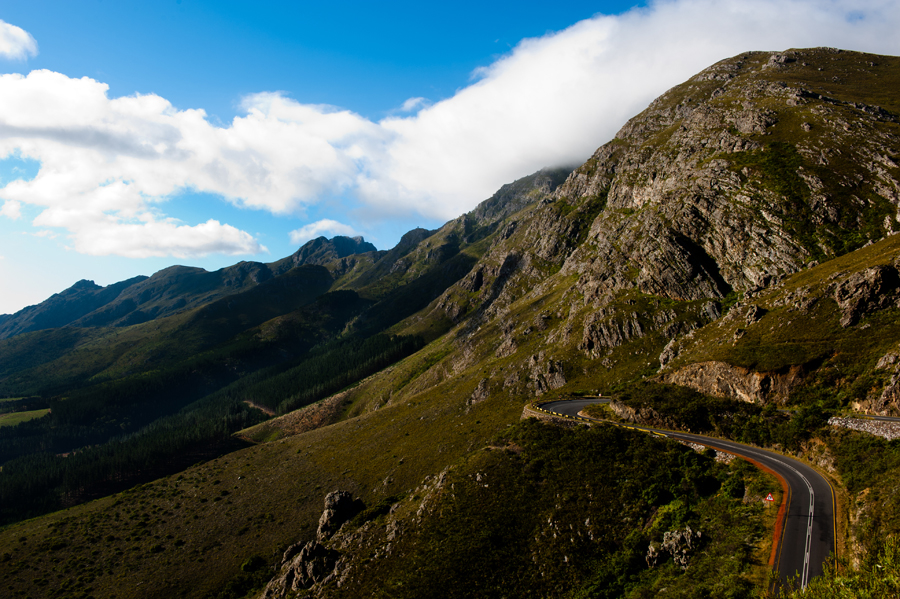 40-cape-town-2010-photo-chris-erlbeck-0555.jpg