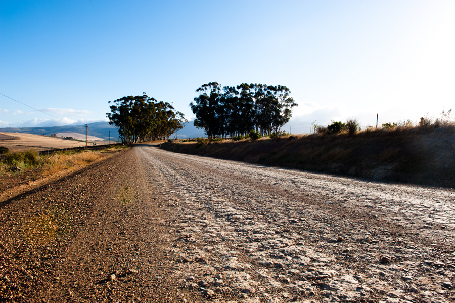 40-cape-town-2010-photo-chris-erlbeck-0571.jpg