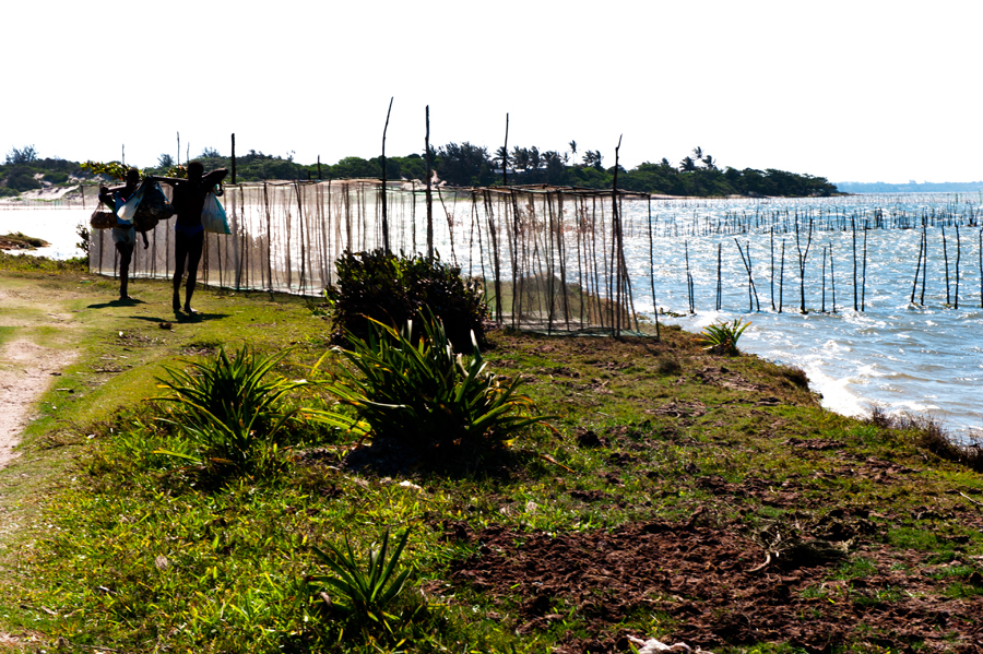 39-madagascar-2010-photo-chris-erlbeck-9693.jpg