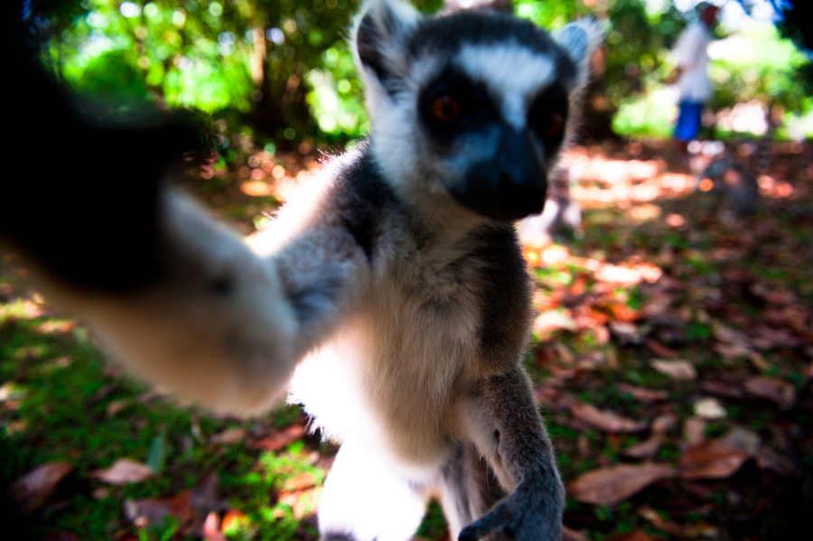 39-madagascar-2010-photo-chris-erlbeck-9741.jpg