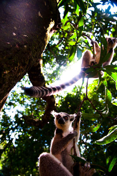 39-madagascar-2010-photo-chris-erlbeck-9743.jpg