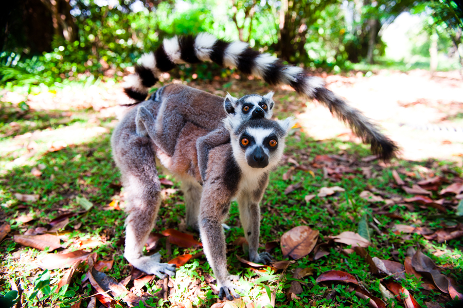 39-madagascar-2010-photo-chris-erlbeck-9748.jpg